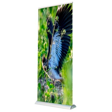 ROLL-UP LUX ROLL-UP LUX